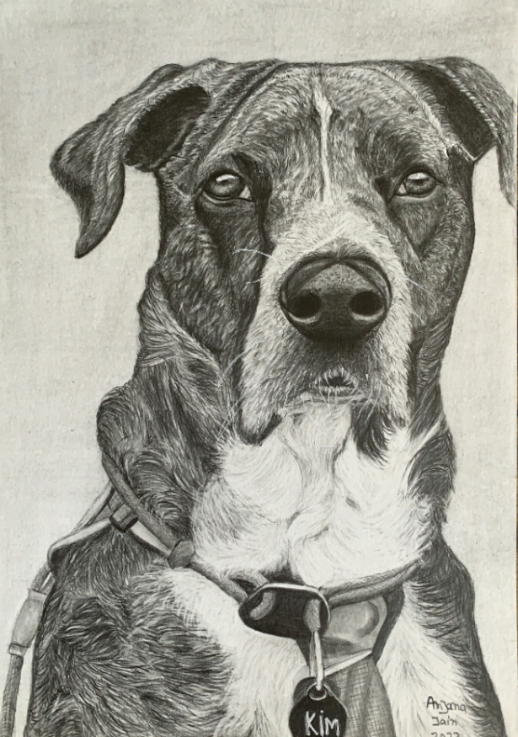 How To Draw Pet Portraits • Anna Bregman Portraits